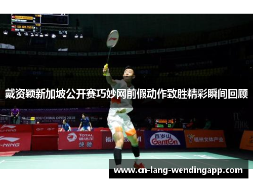 戴资颖新加坡公开赛巧妙网前假动作致胜精彩瞬间回顾