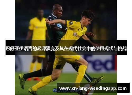 巴舒亚伊语言的起源演变及其在现代社会中的使用现状与挑战