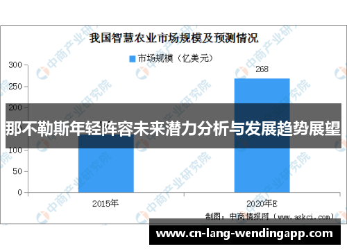 那不勒斯年轻阵容未来潜力分析与发展趋势展望