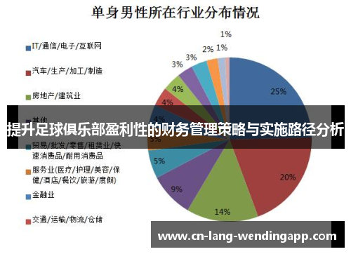 提升足球俱乐部盈利性的财务管理策略与实施路径分析 提升足球俱乐部盈利性的财务管理策略与实施路径分析