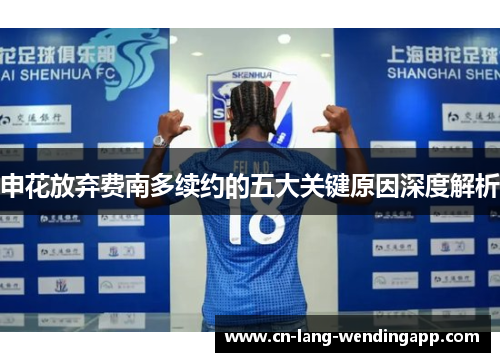 申花放弃费南多续约的五大关键原因深度解析