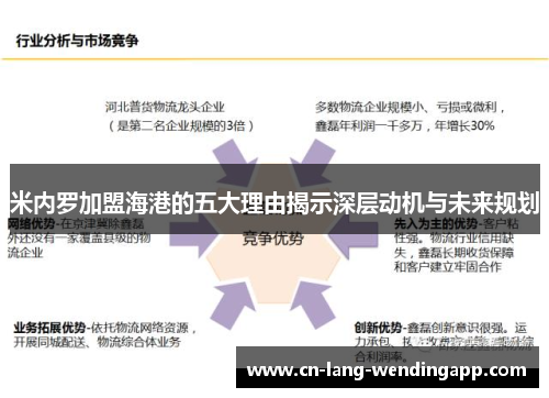 米内罗加盟海港的五大理由揭示深层动机与未来规划