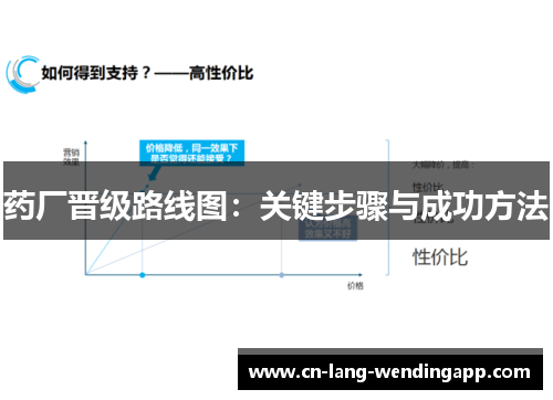 药厂晋级路线图:关键步骤与成功方法 药厂晋级路线图:关键步骤与成功方法