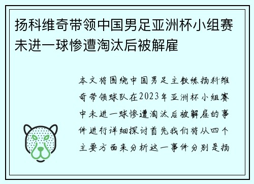 扬科维奇带领中国男足亚洲杯小组赛未进一球惨遭淘汰后被解雇